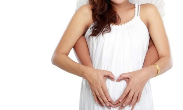 SEX SAAT ISTRI HAMIL