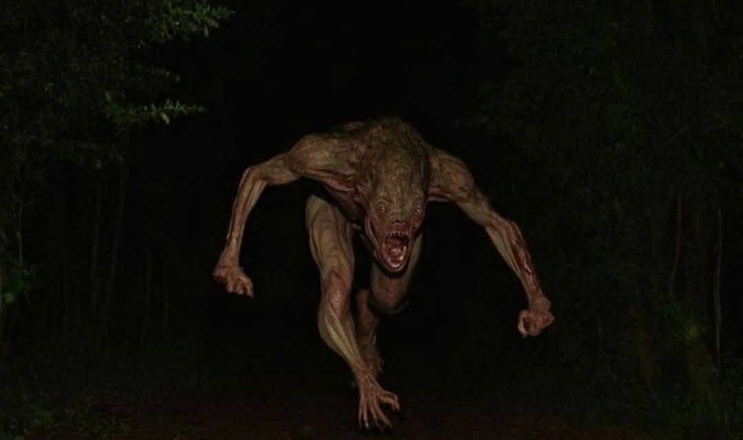 Kisah Kyai Pamungkas: MANUSIA HARIMAU DI OGAN KOMERING ILIR