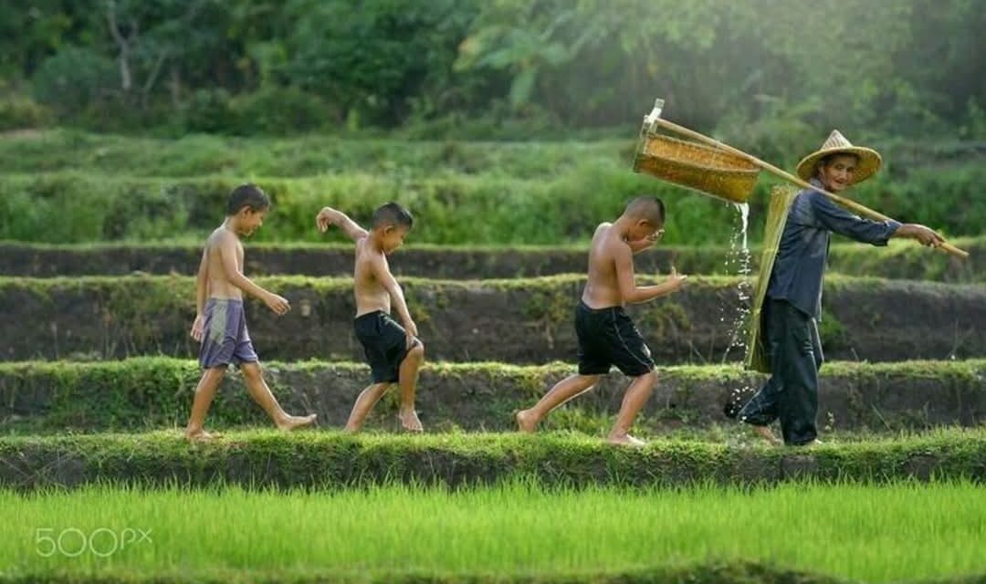 Ngaji Psikologi: EKSPLORASI DIRI