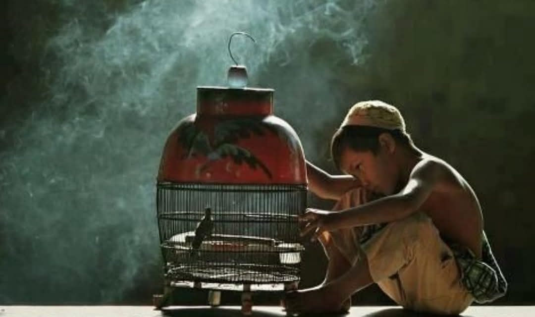 Ngaji Psikologi: AKU KAPTEN HIDUPKU