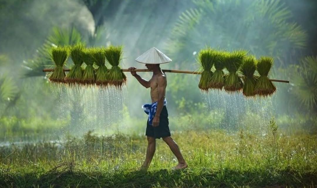 Ngaji Psikologi: BATU KEHIDUPAN