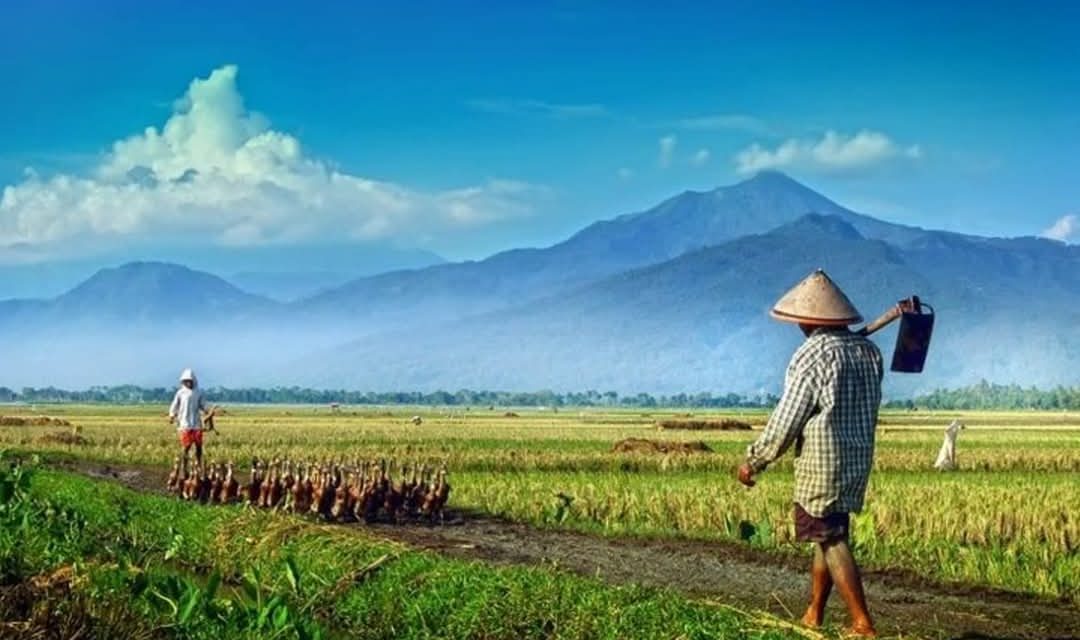 Ngaji Psikologi: TAK ADA YANG HILANG