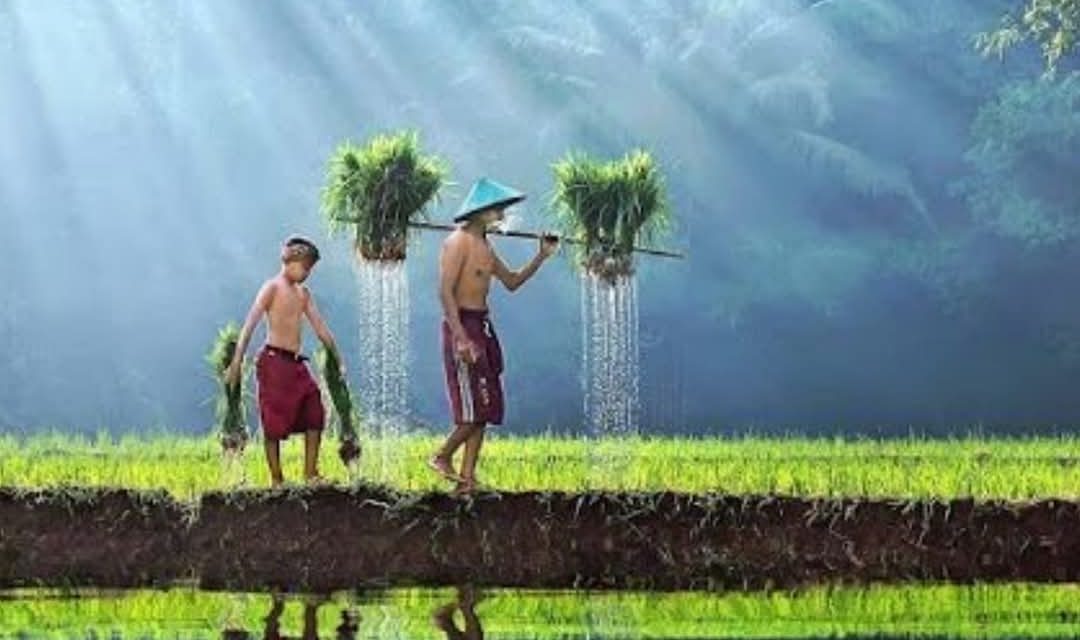 Ngaji Psikologi: MENYAMBUT KESULITAN