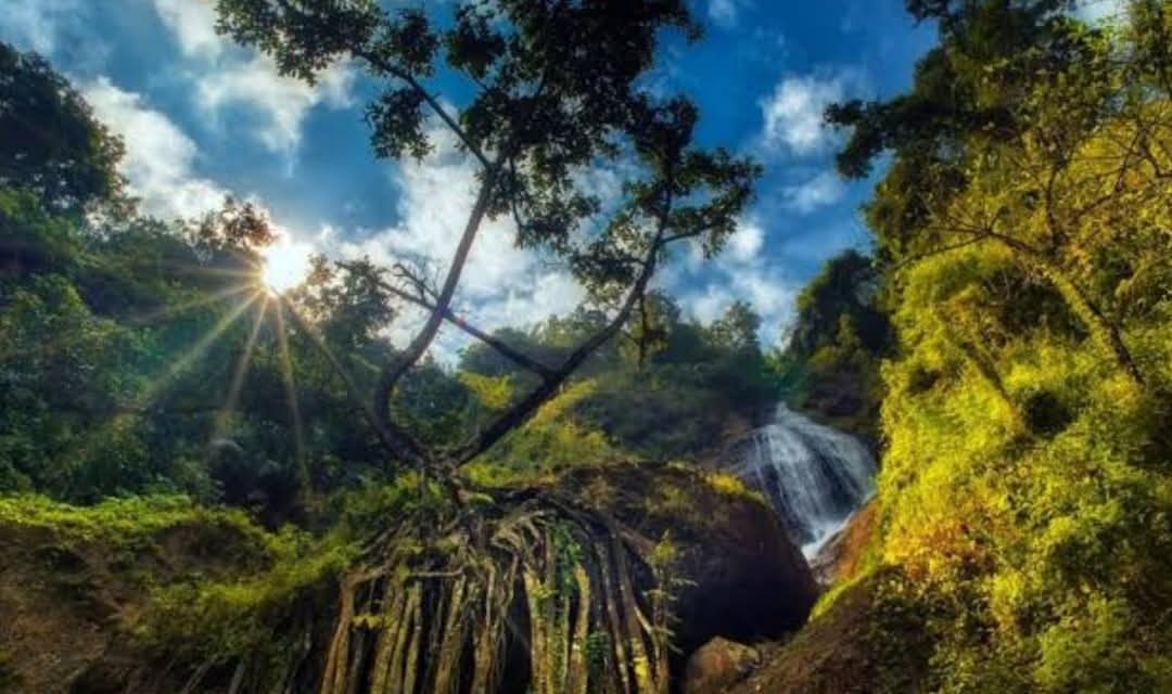 Panggonan Wingit: BERBURU PESUGIHAN DI CURUG GLONTO LORO, WONOSOBO
