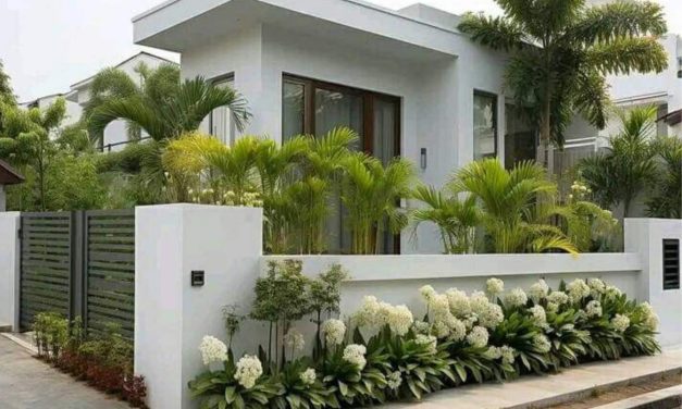 Ngaji: MISTIK MACAM TANAMAN PEKARANGAN
