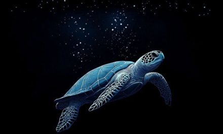 Kisah Mistis: MAKNA DARI KURA-KURA