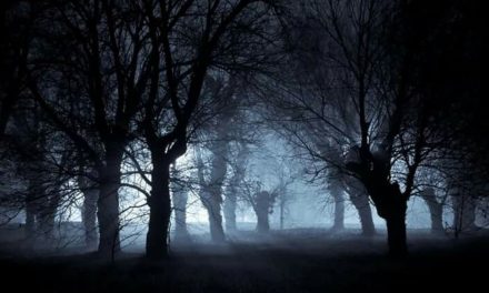 Panggonan Wingit: PETUALANGAN GAIB DI ALAS JATI CIREBON